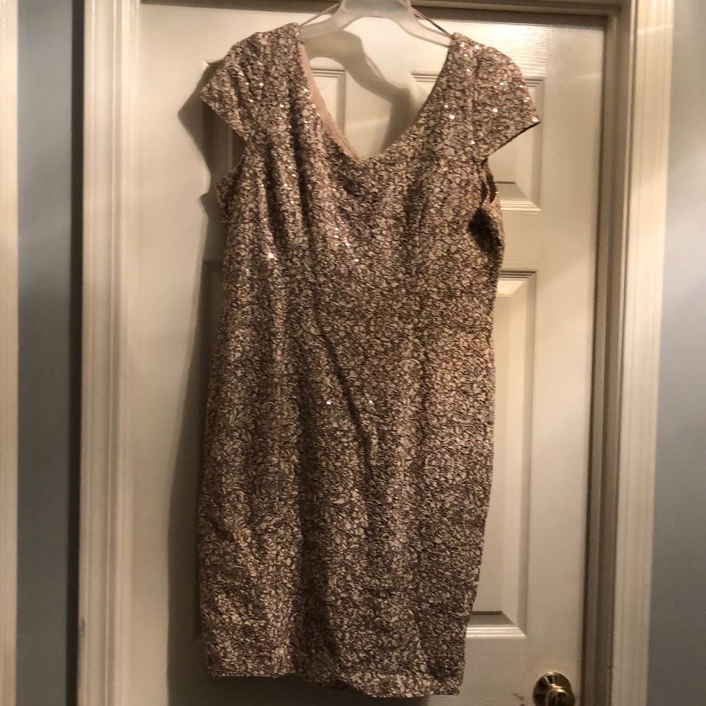Alex Evenings size 16 champagne sequin dress.